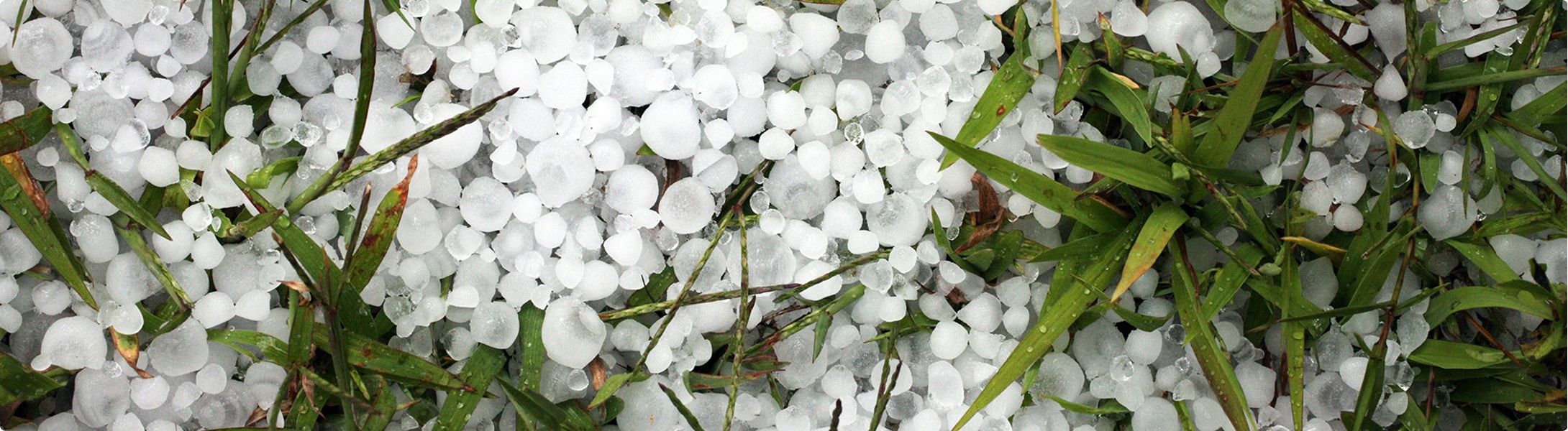 Grêle : quelle indemnisation de l&rsquo;assurance auto ?